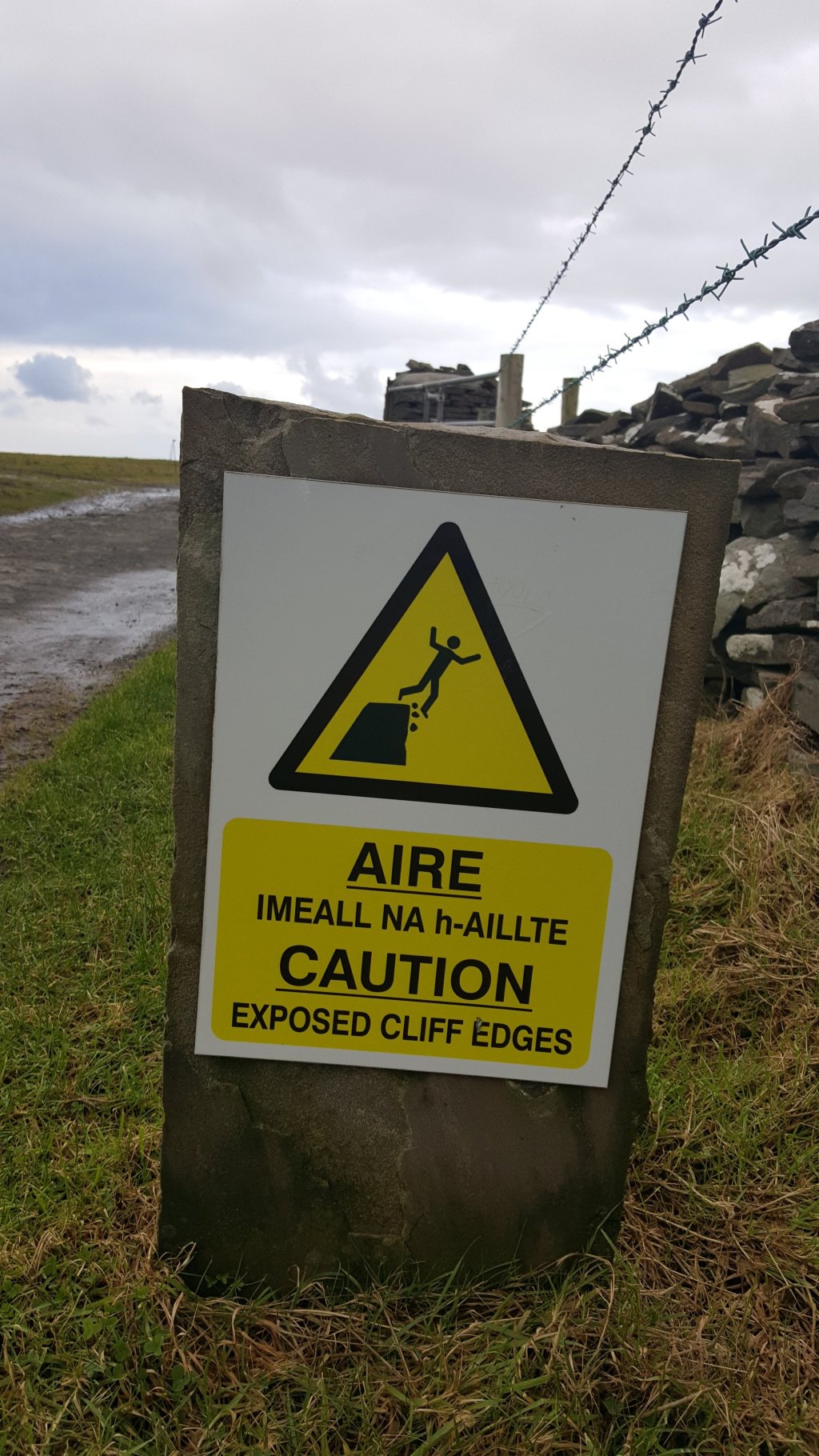 A Confession of Everything to&nbsp;Nothing