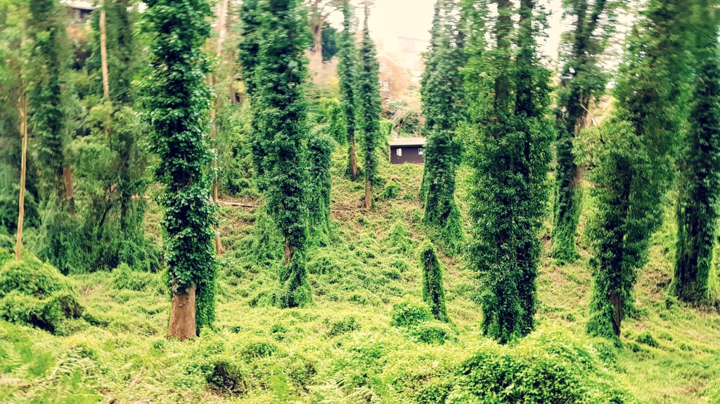 Do You Know How Trees&nbsp;Work?