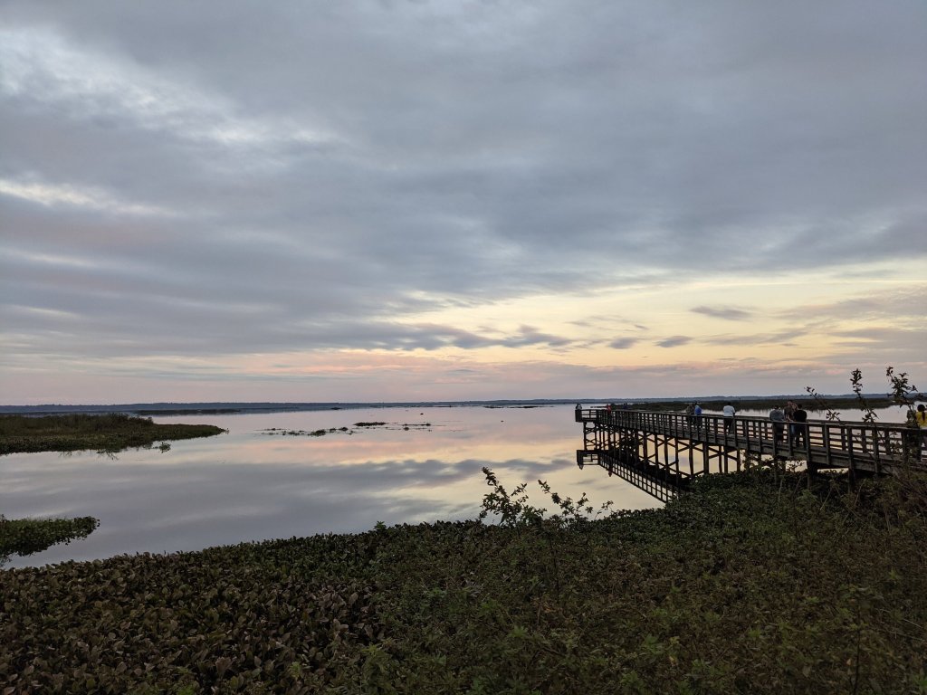 Tissue Paper Attacks!