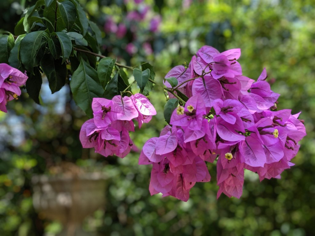 The Married Life with Gene&nbsp;Hackman