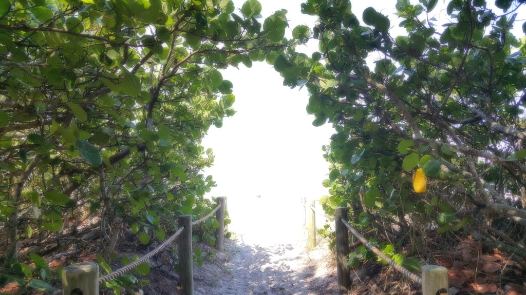 I Think I’m Ready&nbsp;Now